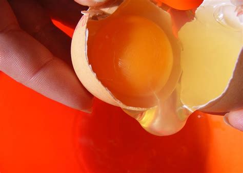 come capire se un uovo è mangiabile